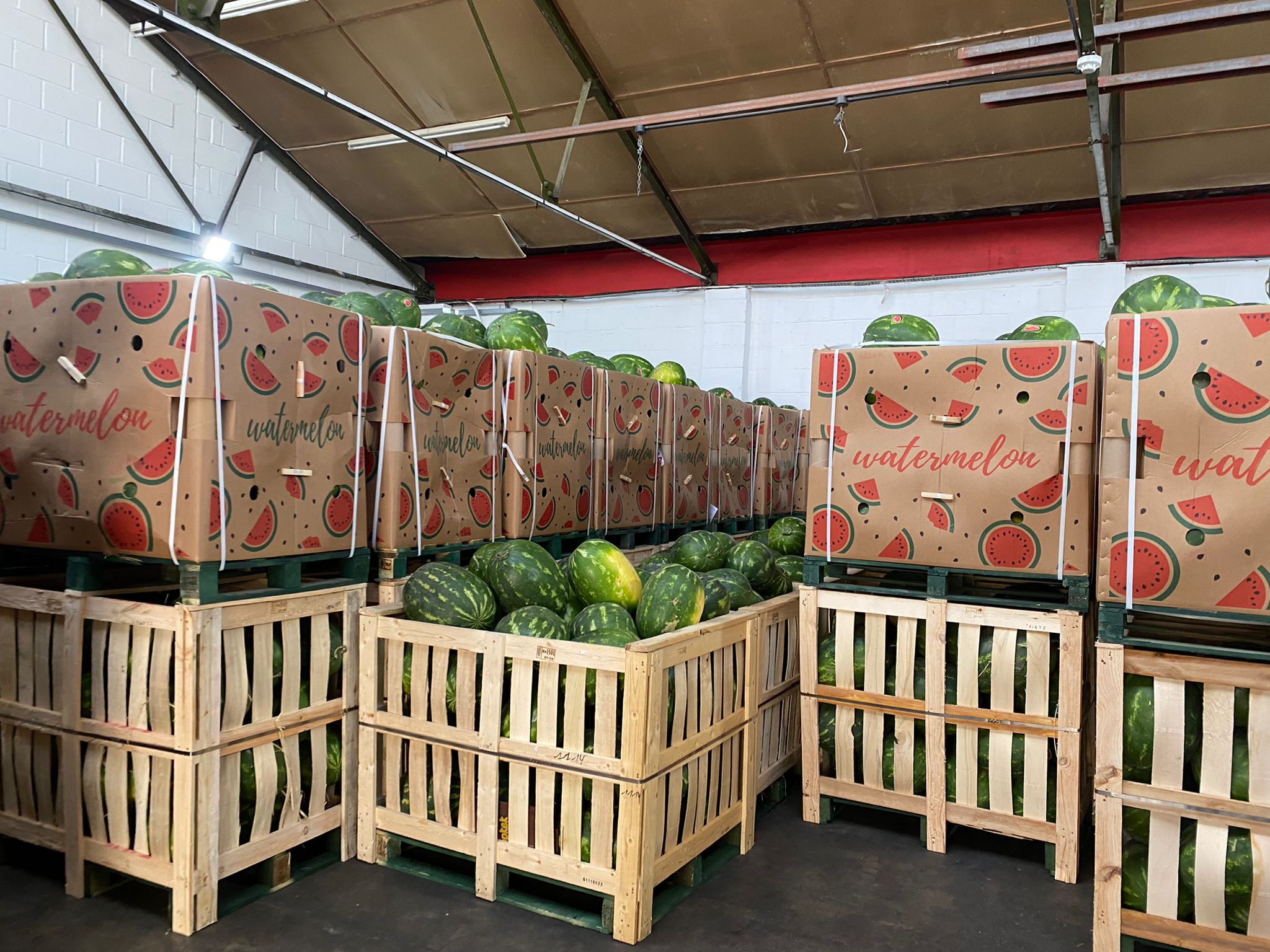 Wholesale Watermelons UK