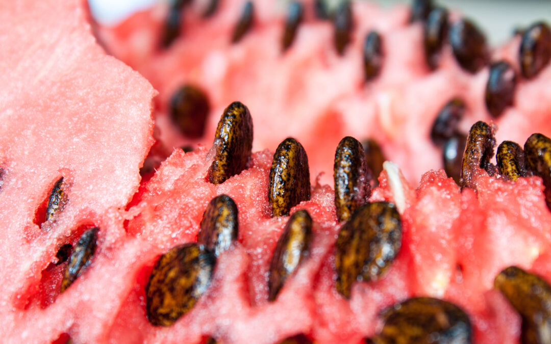 Six of the Best Ways to Enjoy Watermelon Seeds
