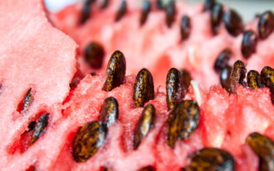 Six of the Best Ways to Enjoy Watermelon Seeds