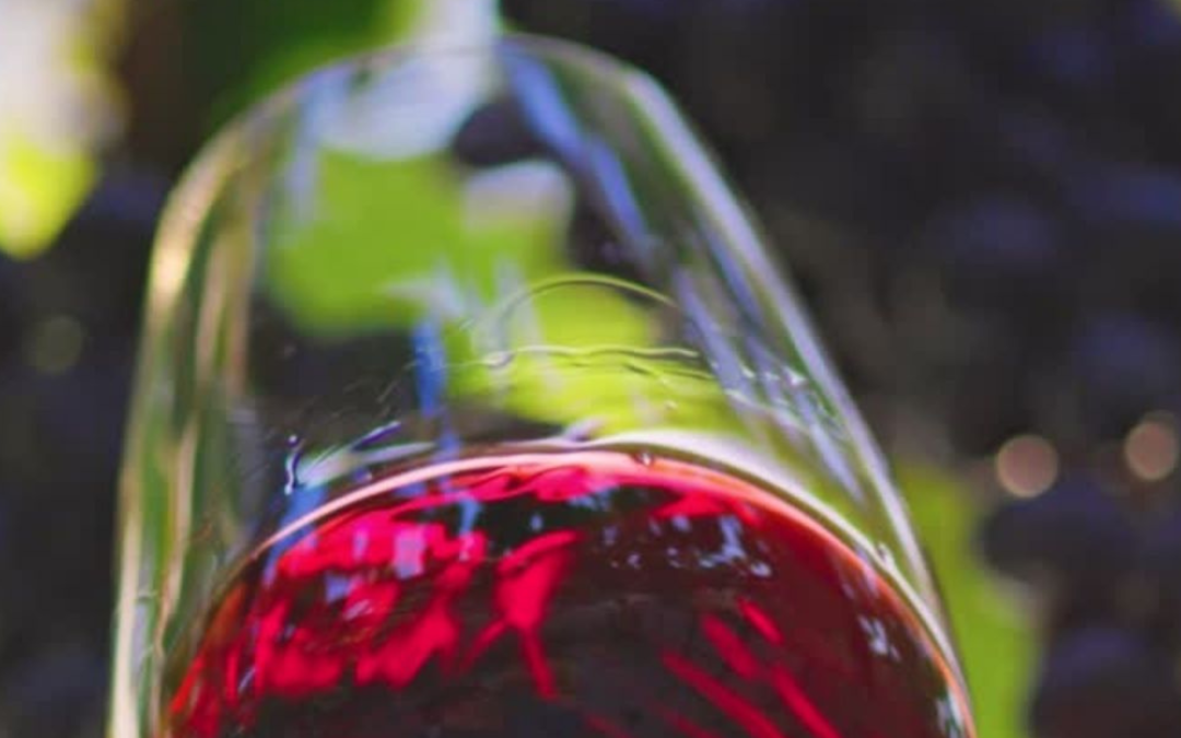 Image of wine swirling to discover the health benefits of wine