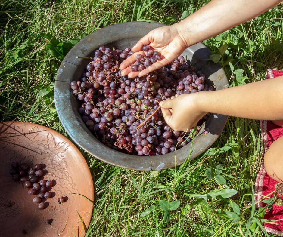 Benefits of homemade wine - connection to nature and tradition