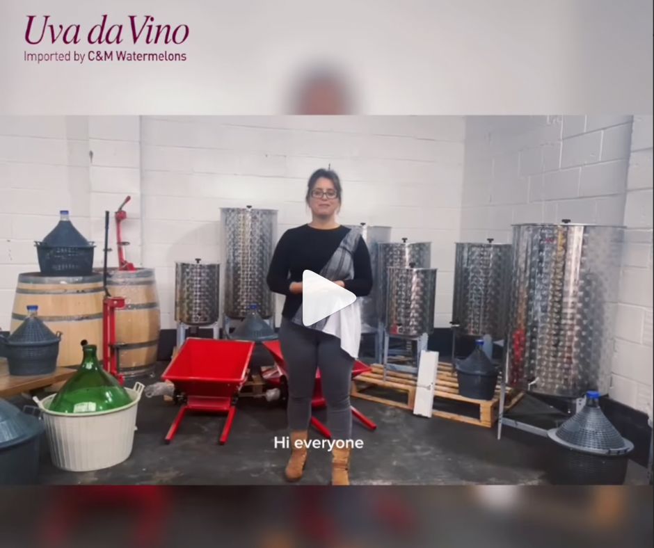 Uva da vino -wine equipments for homemade wine making
