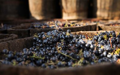 5 Benefits of Homemade Wine