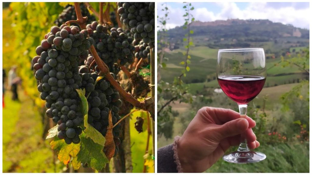 Montepulciano: The Robust Italian Red